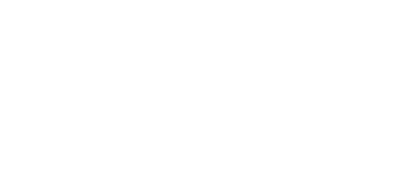 Ammon Bundy for Governor Logo