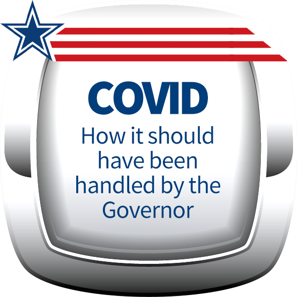 COVID How it Should Have Been Handled